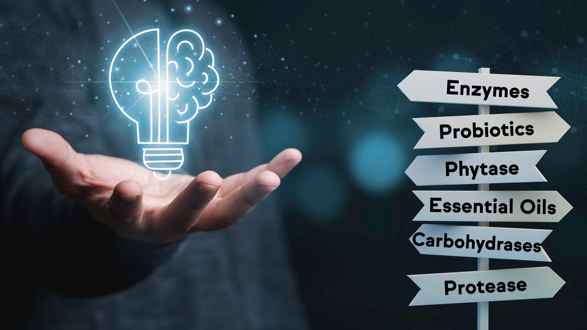 AdobeStock_351172534_-_Product_landing_page_HEADER_hi_res_01