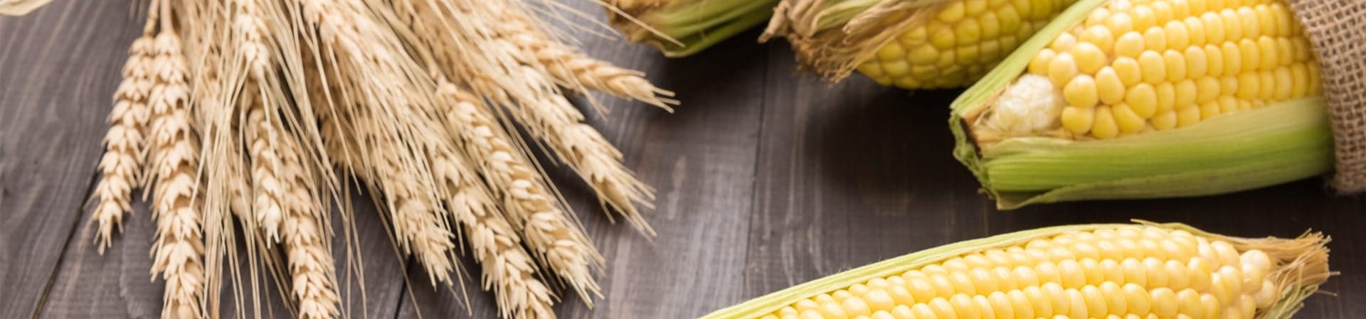 Danisco-« Xylanase-hero-min