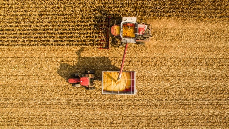 Harvesting_corn_aerial_top_view_v2_shutterstock_573185581