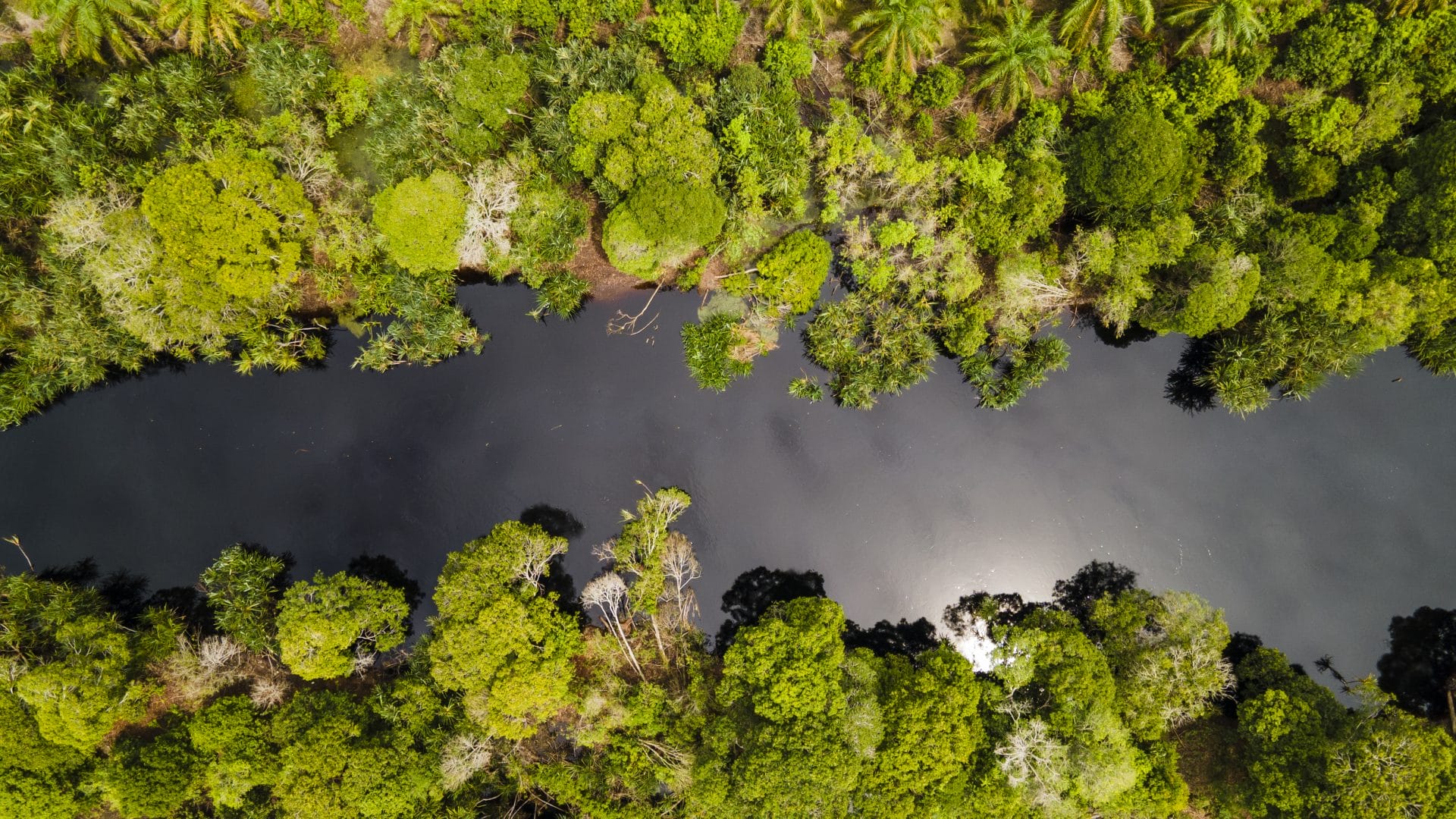 Sungai Linau Landscape Conservation and Livelihoods Programme