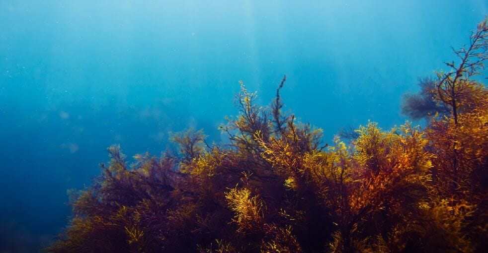 Top-Hero-Banner_Report-Back-Cover