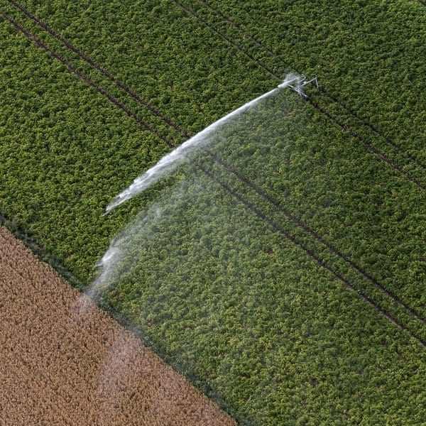 Watering-a-beet-field