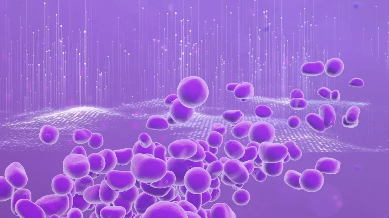 Yeasts