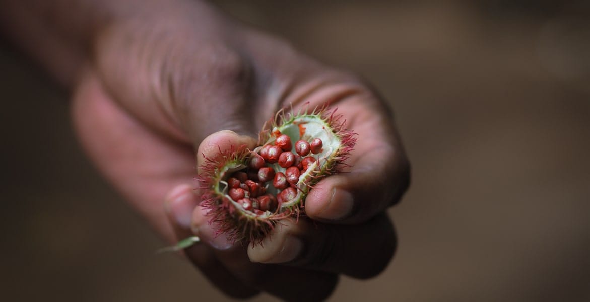 12- section6 – Program How We Source-min