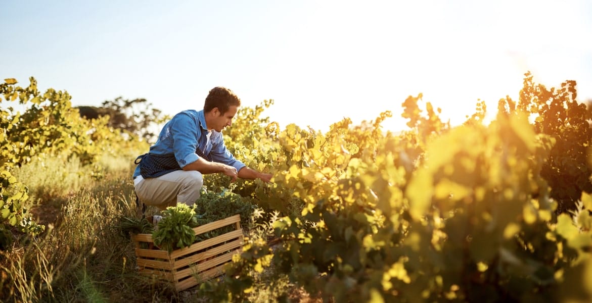 14- section6 – Program Our Certifications-min