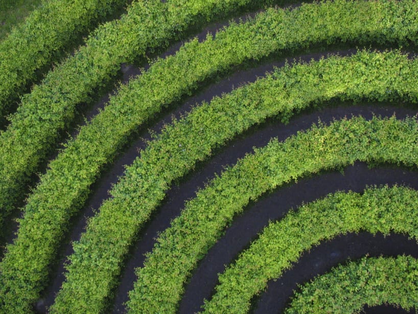 4423ea6a49c0834616e60fecf0563857