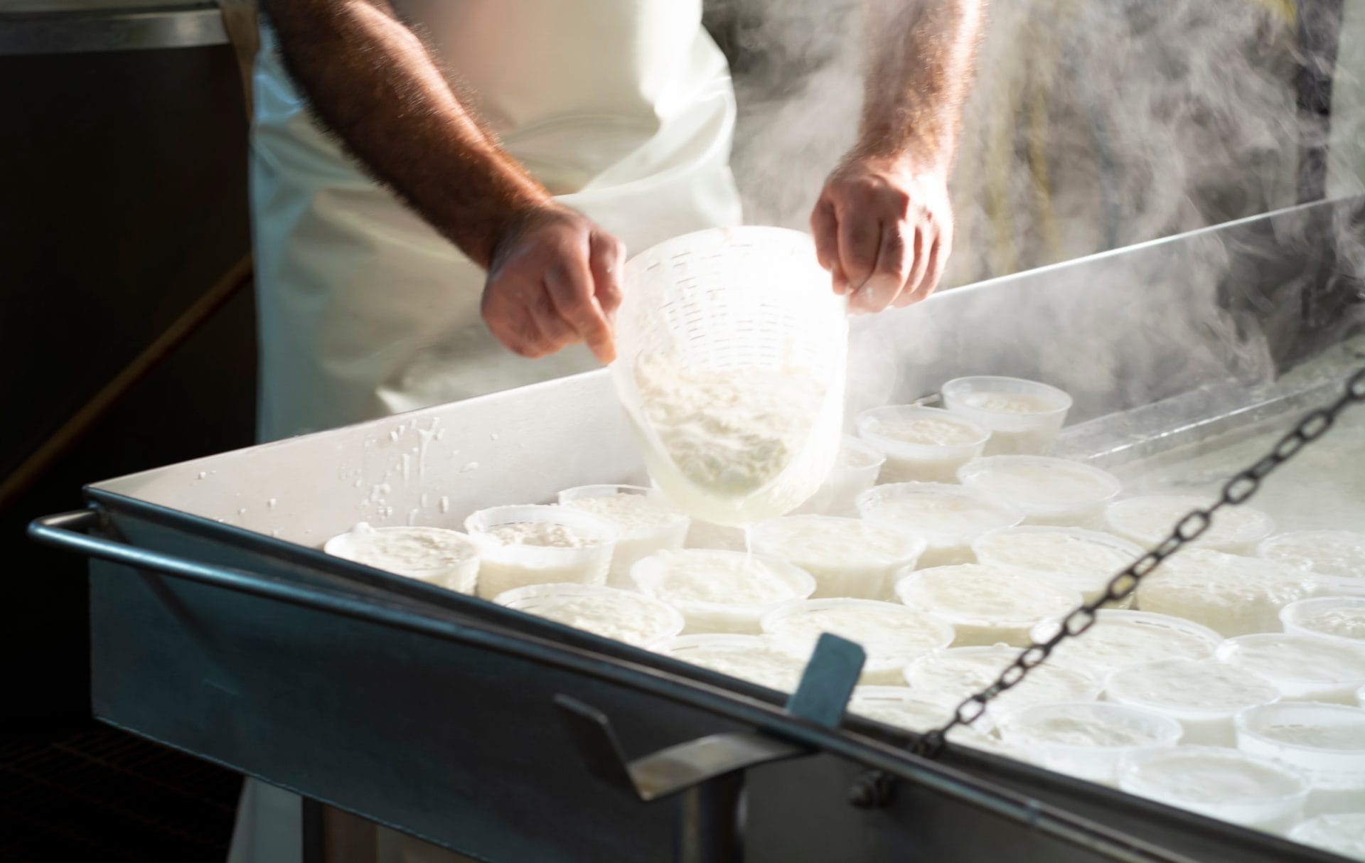 Cultures_Benefit 2_Image