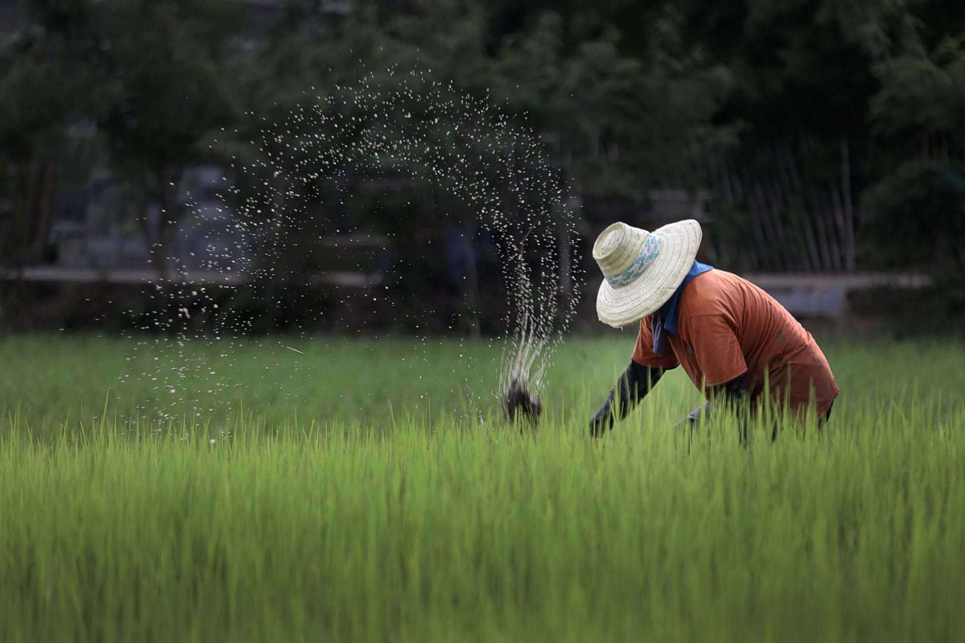 Responsible Sourcing & Human Rights