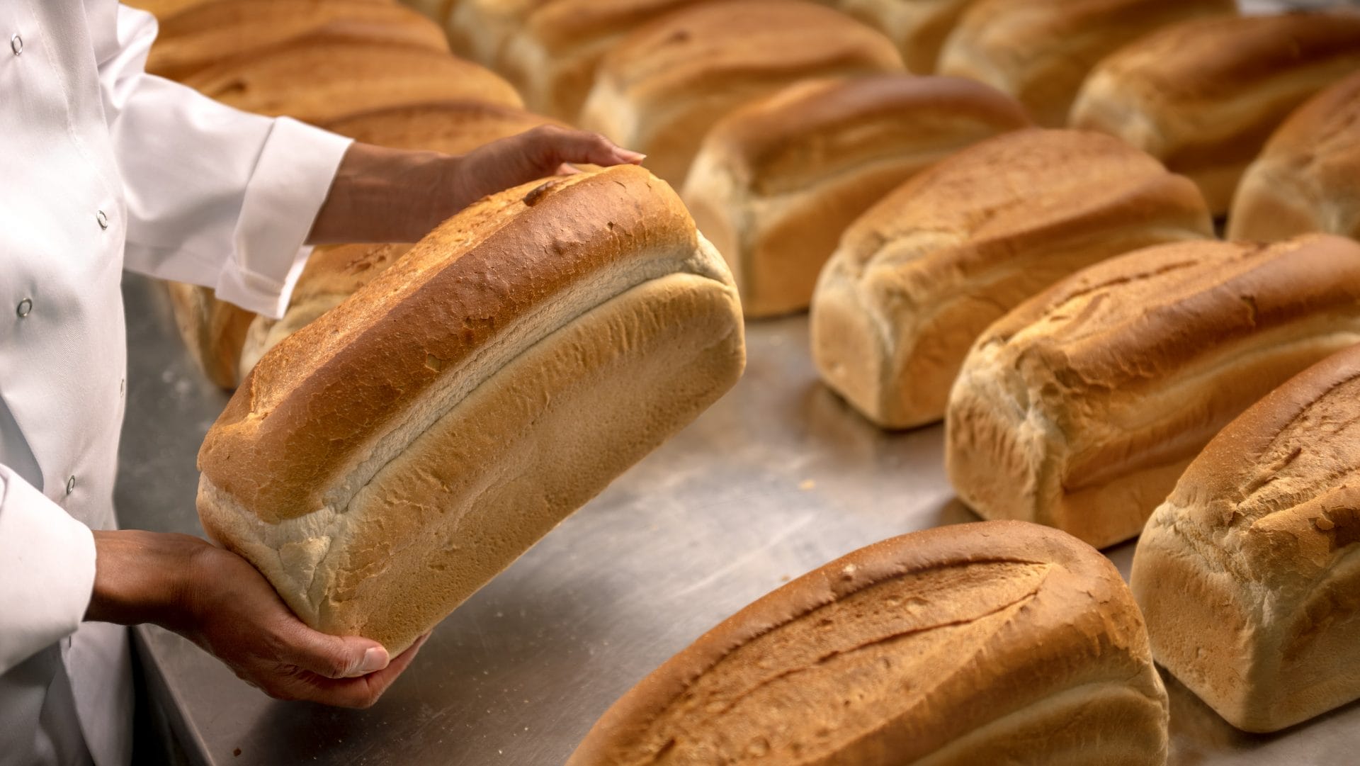 Bakery solutions of IFF