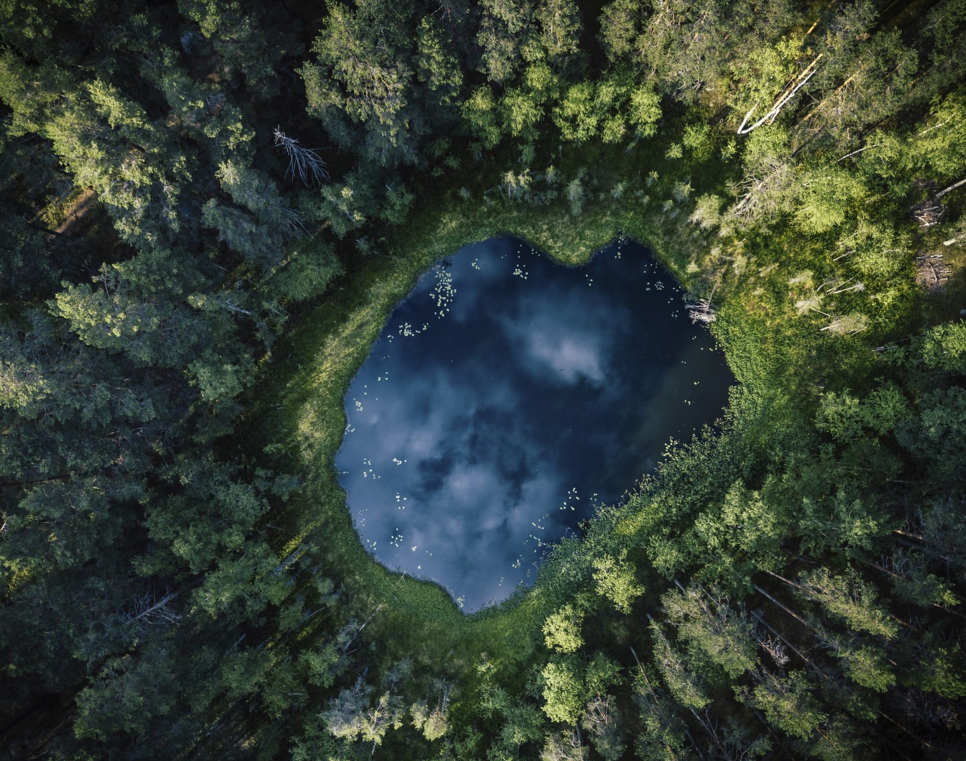 GHG & Energy Footprint