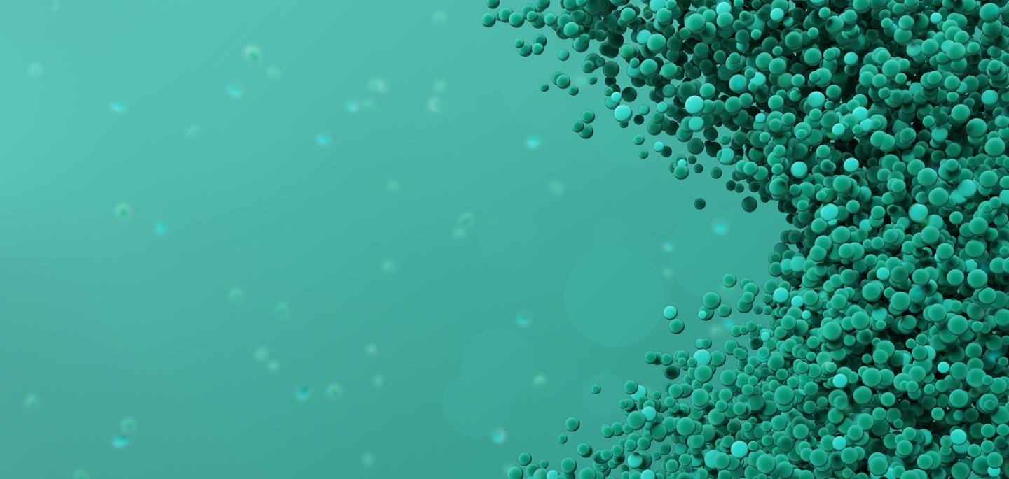 accessories top banner