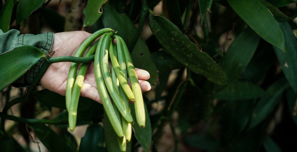 section2-benefit1-min (2)