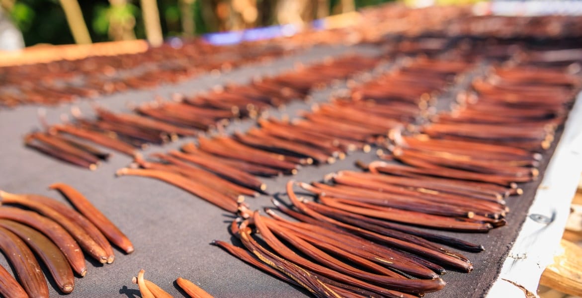 section2-benefit3-min (2)