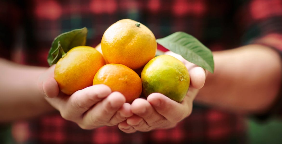 section2-benefit3-min