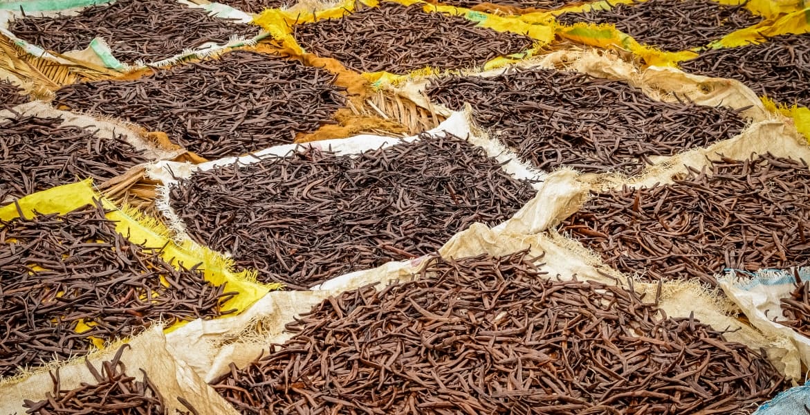 section2-benefit4-min (1)