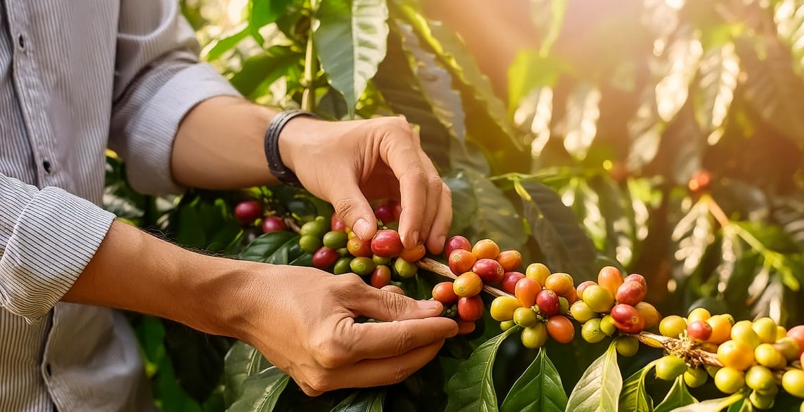 section6-program1-min