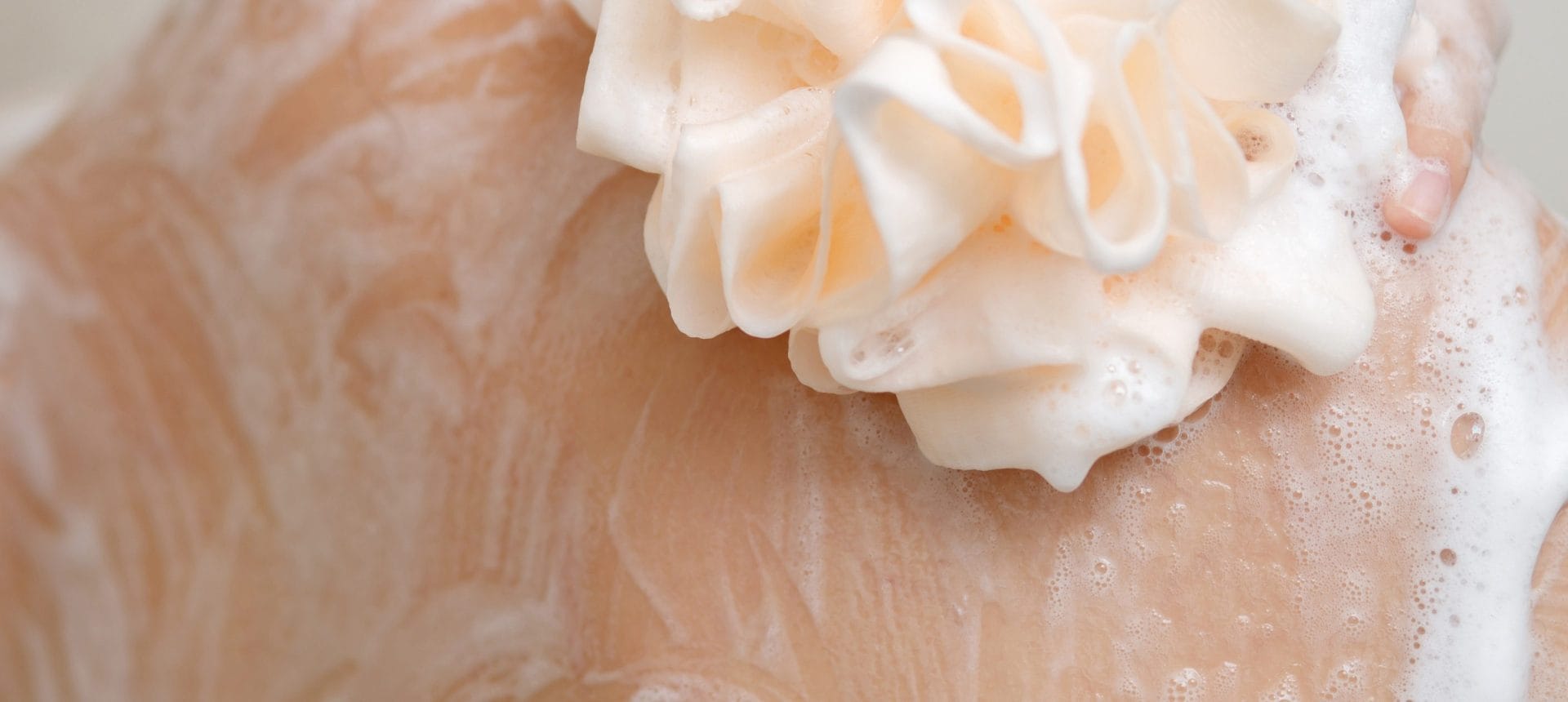 HERO_shutterstock_2273795365