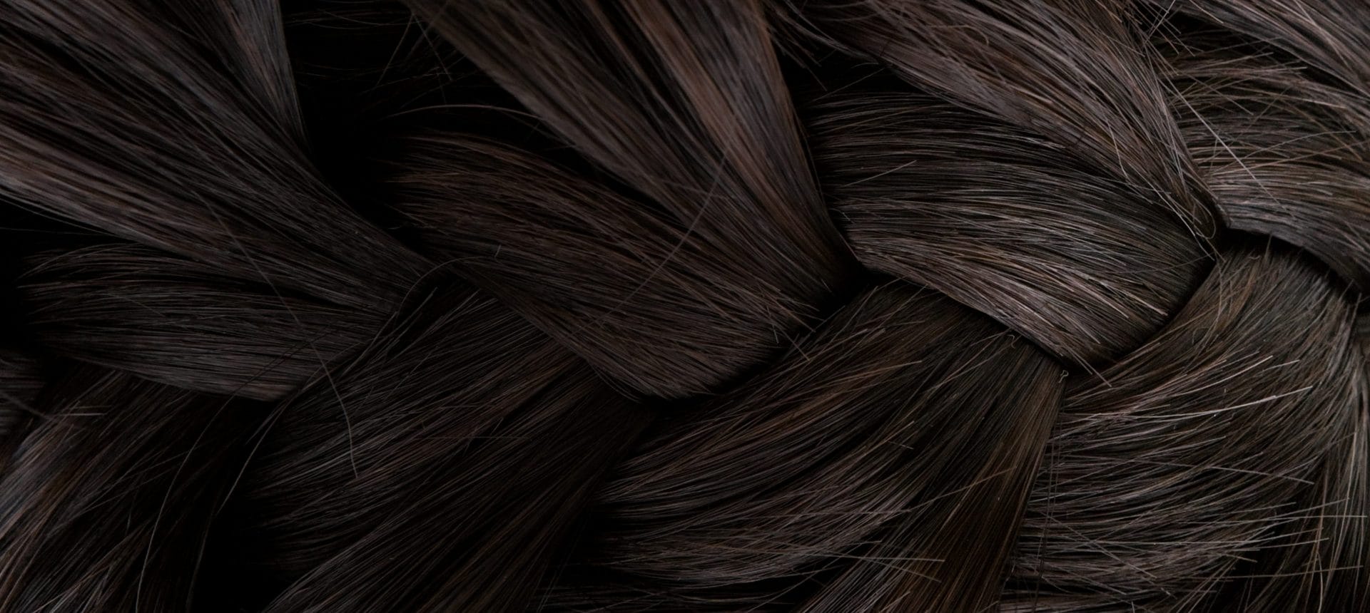 HERO_shutterstock_73878547