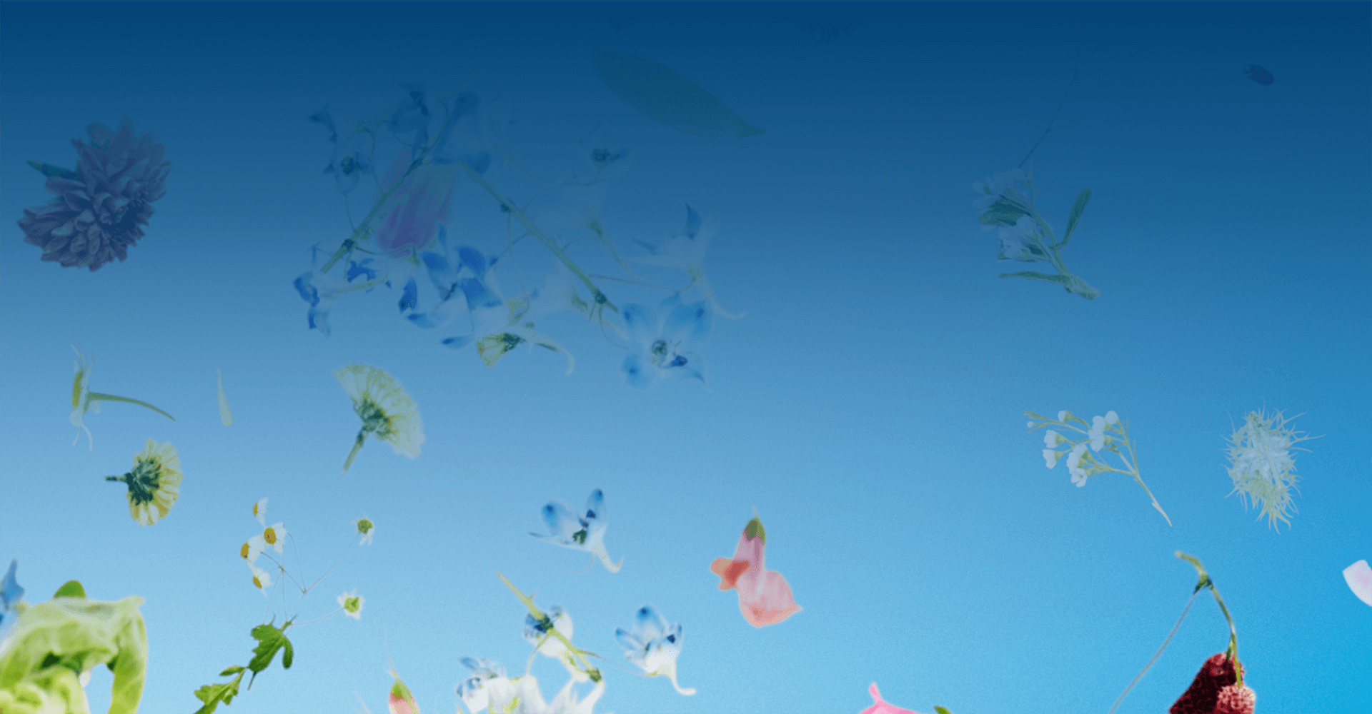 Our Industry-Leading Home Care