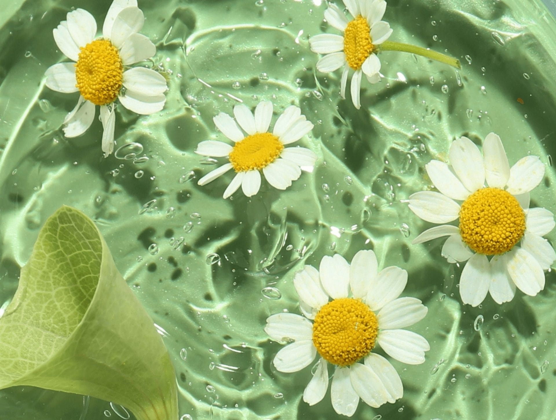 Personal care products displayed on a countertop.