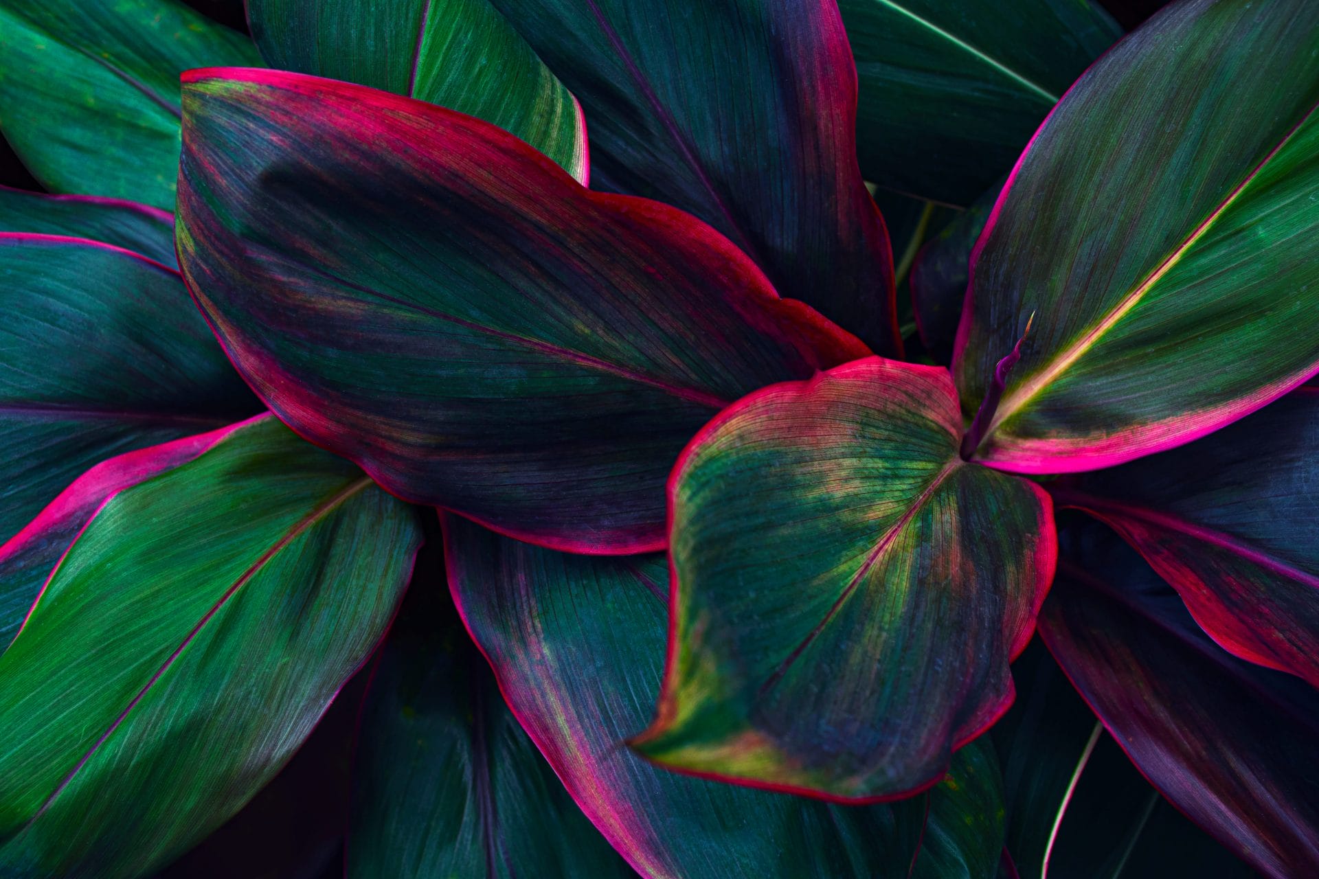 Performance and Sustainability