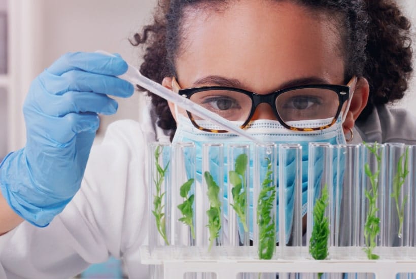 Strategic partnerships in IFF’s business approach.