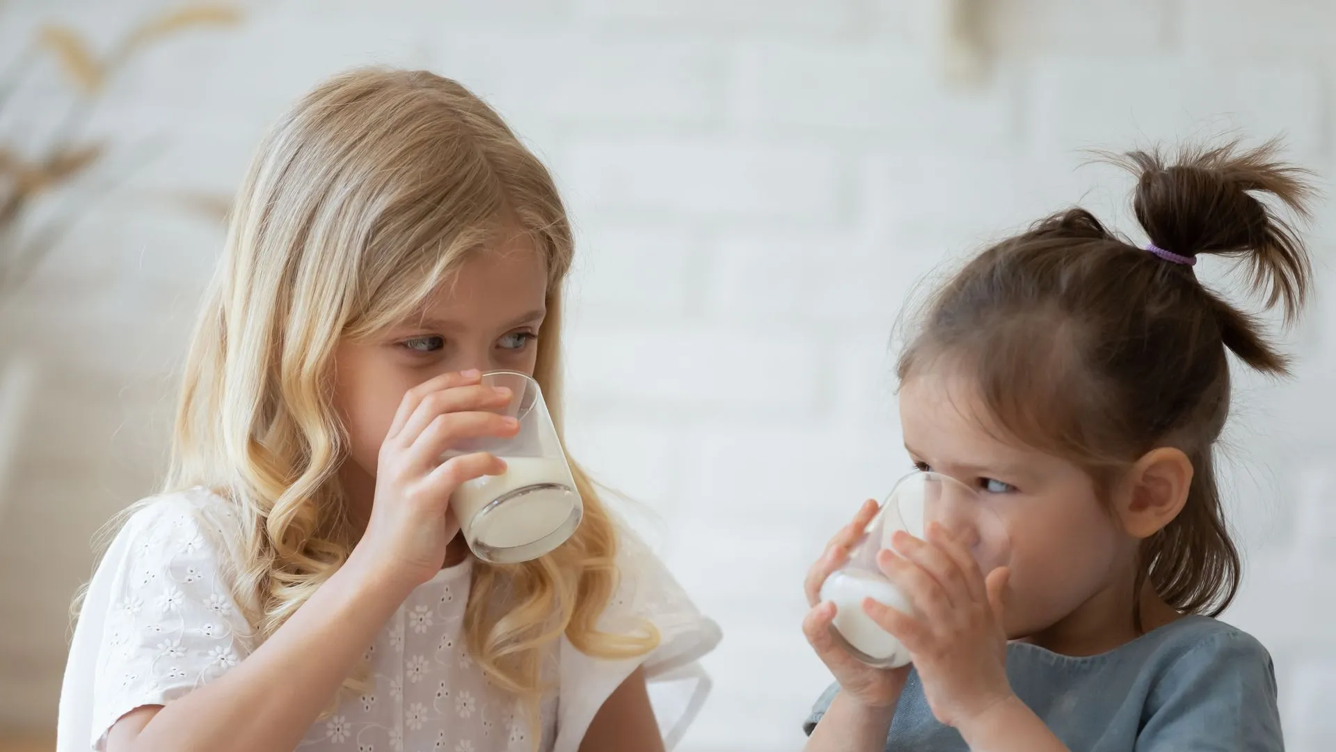 csm_shutterstock_dairycultureshero