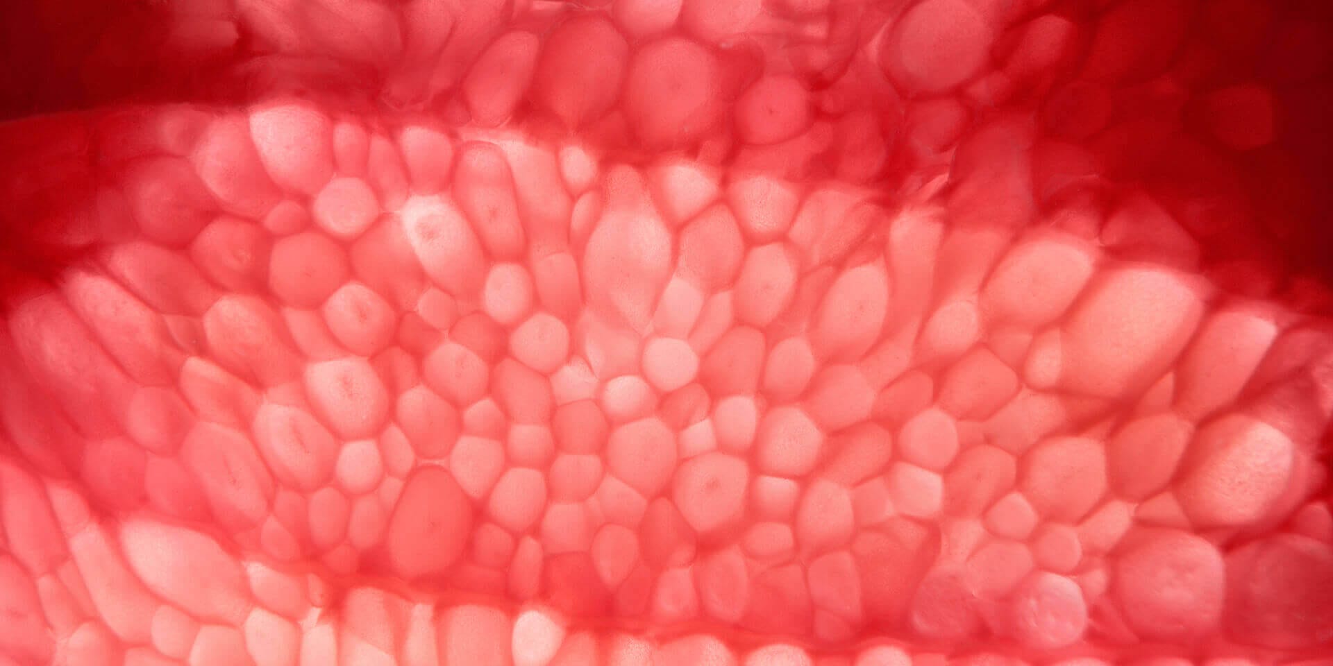 double-materiality-bg