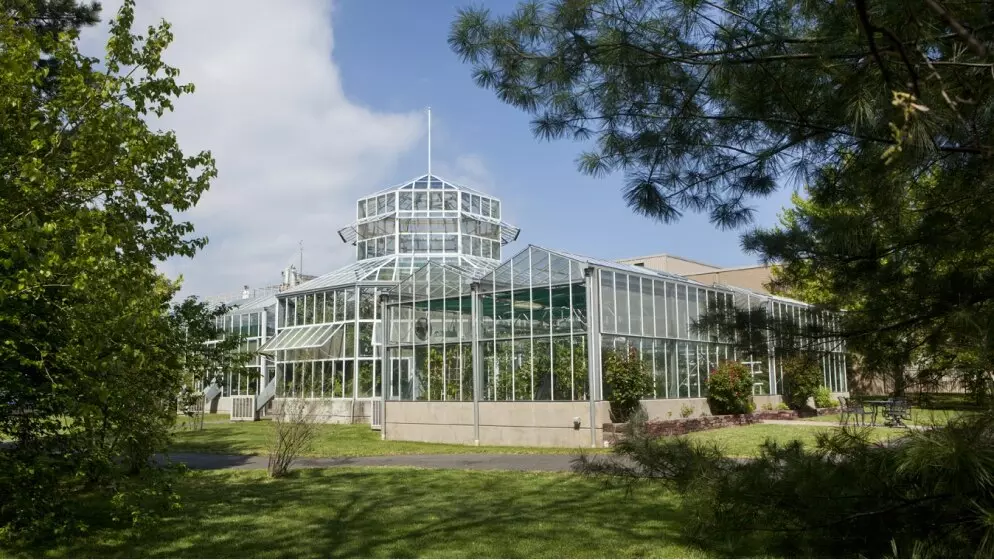 greenhouse union beach