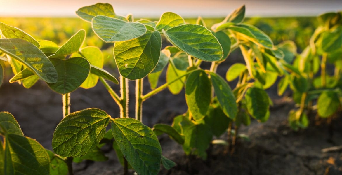 section2-benefit3-min