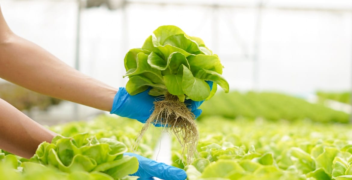 section3-Benefit4-min