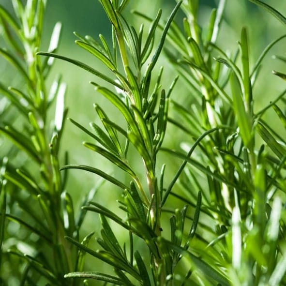 section6-AQUAROX-min