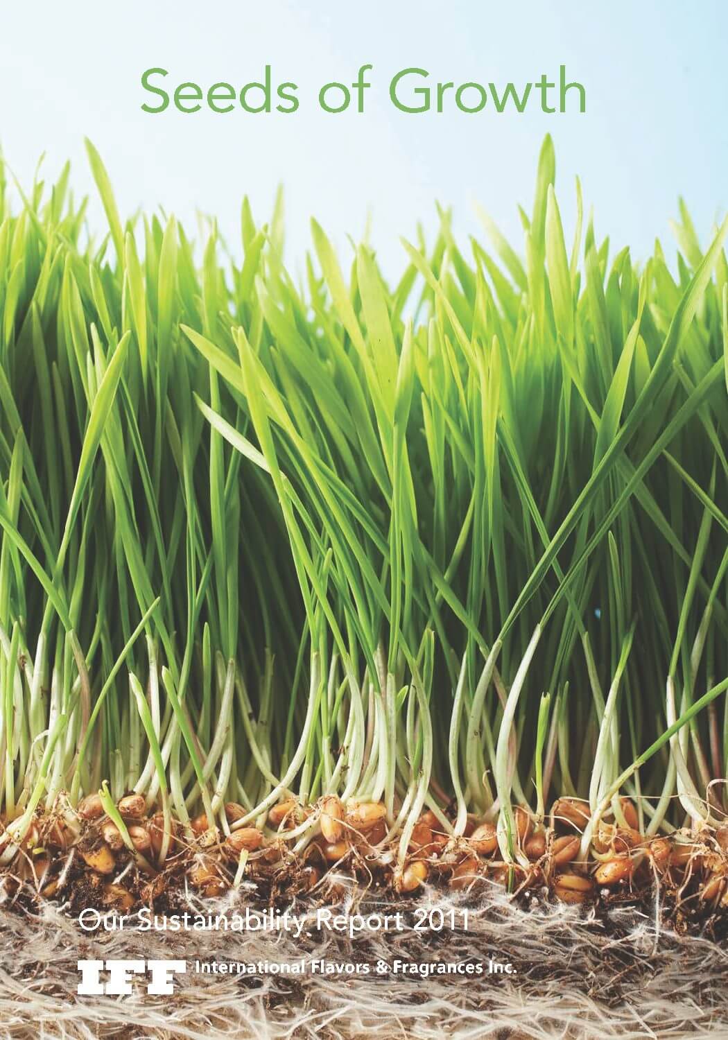2011 iff sustainability report