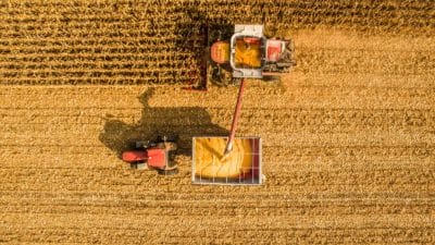 Grain-Processing-1024×576