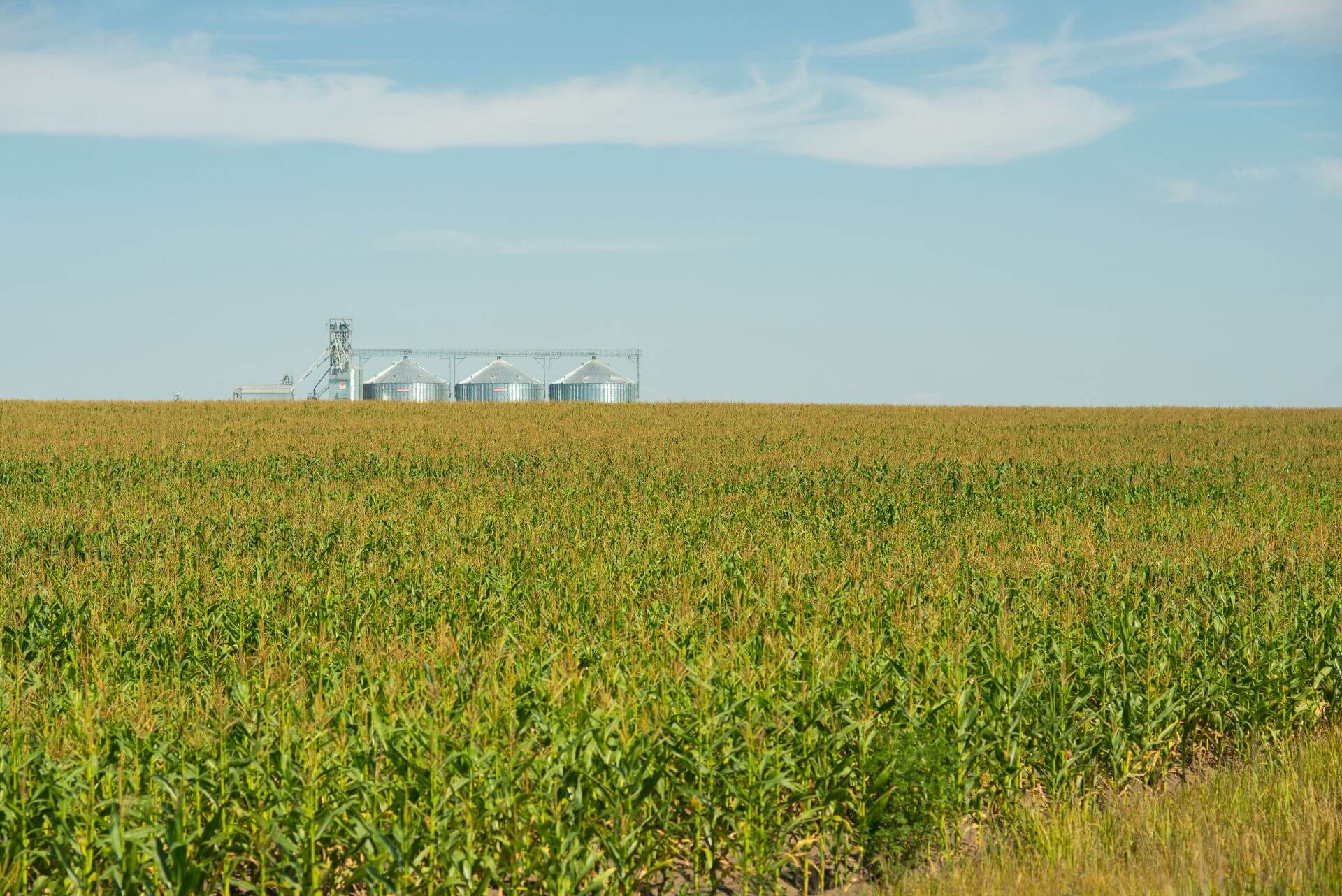 Agricultural Farm with three ethanol silos (iStock-901497256)