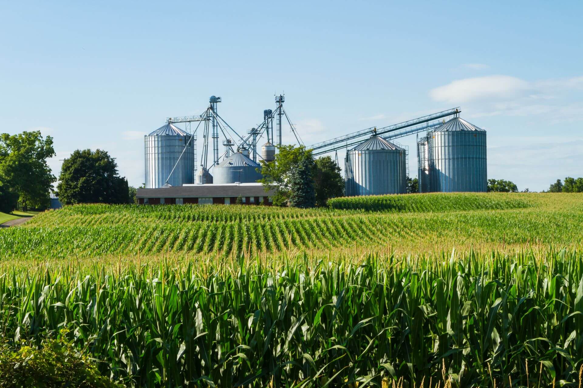 Farm with corm silos (shutterstock_220020586)