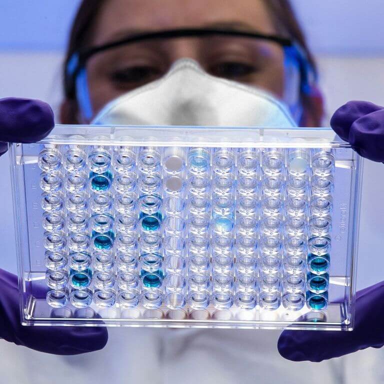 Person wearing purple gloves holding a transparent tray with wells containing blue liquid.