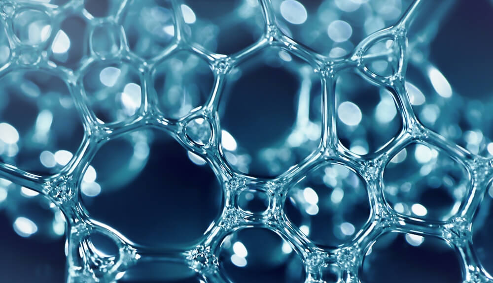 Origins of Biotech Laundry Enzymes