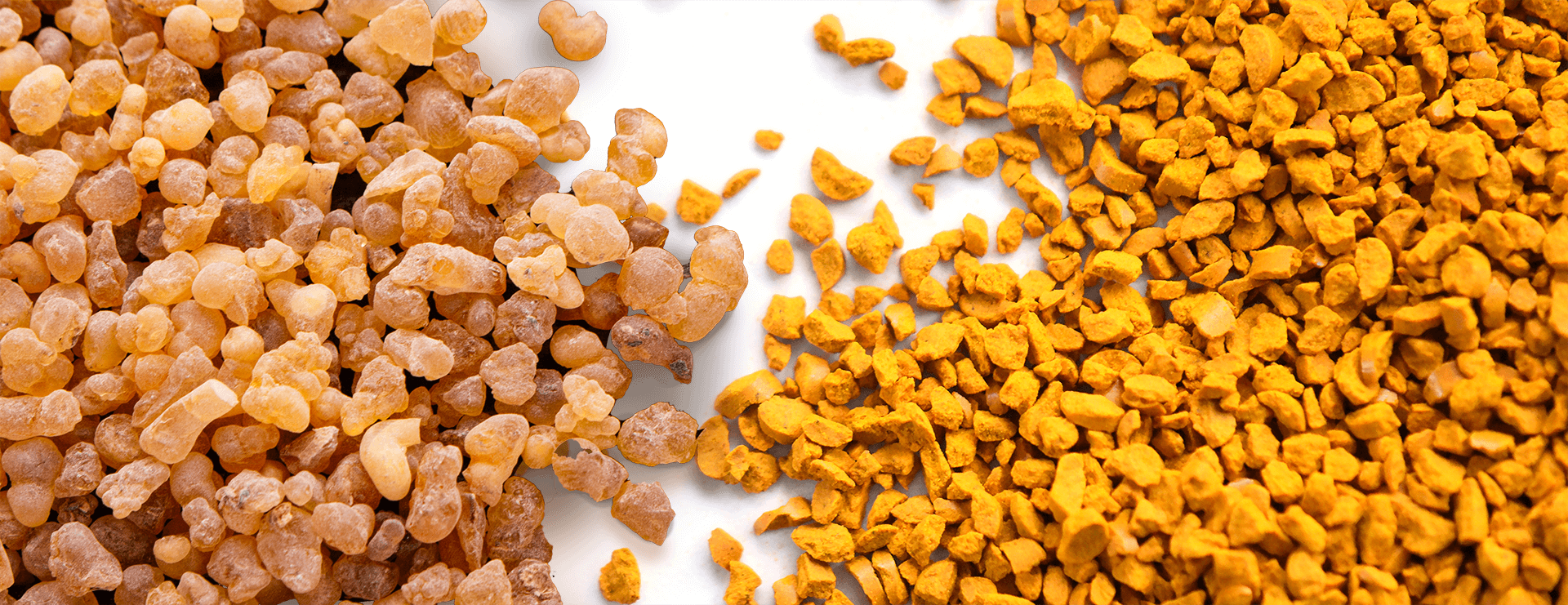 IFF_HS_Our-Products_Ingredients_NovaSol-Curcumin-Boswellia