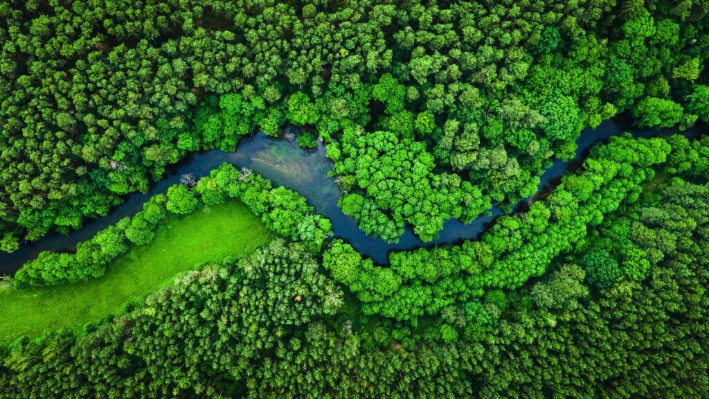 Sustainable polymers