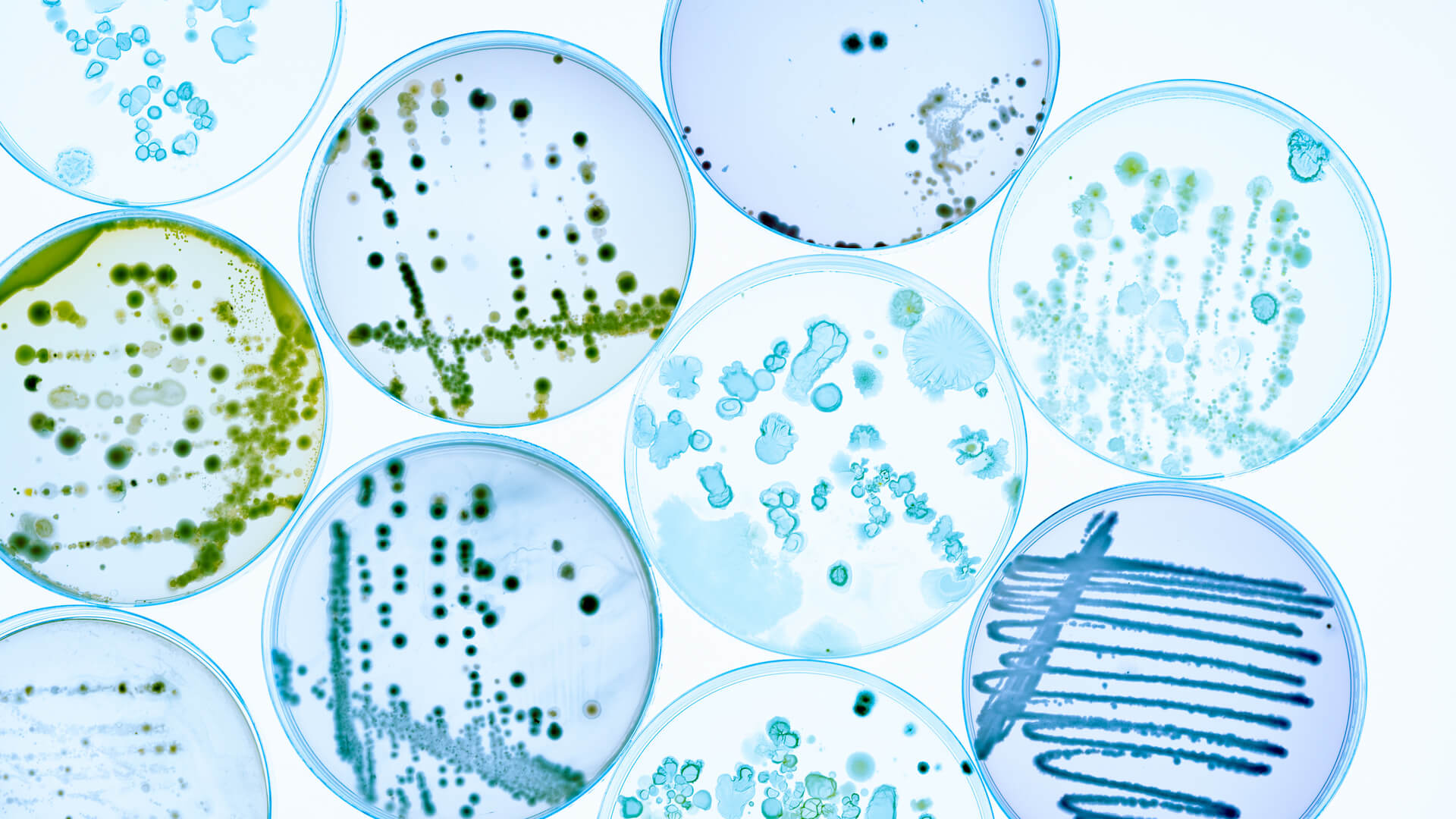 bioscience
