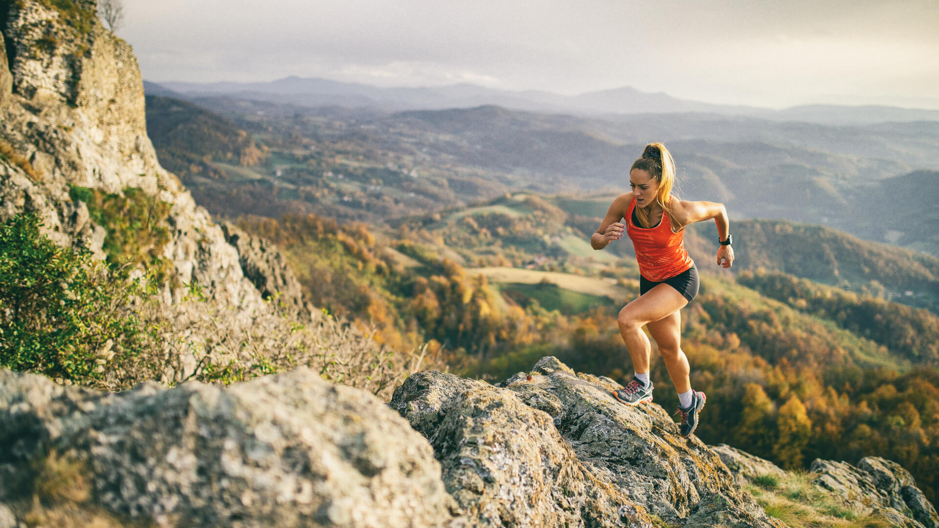 csm_IFF_Health-Benefits_Energy-and-Sports_f1fd88d6a0