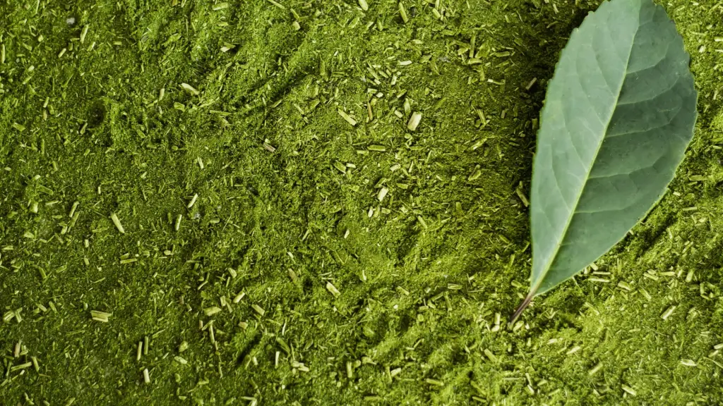 csm_Ingredients_Green-Mate_Banner_fc76620501_d59fd5830b3f4ff99b0992c700af5368.jpg