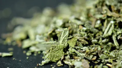 csm_Ingredients_Sage_Banner_a61aad216c_ae9dc2fa12138c01f78250e5ff7ad89b.jpg