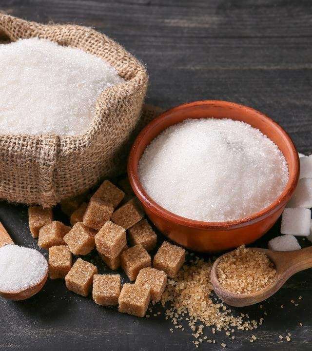 xivia xylitol sweetener