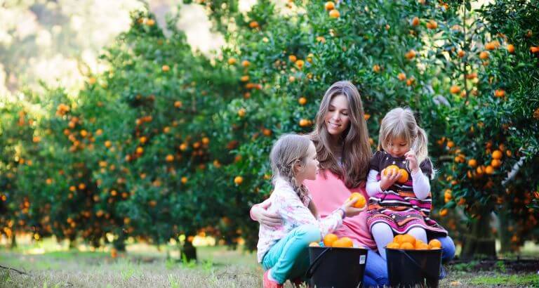 IFF_HS_Our-Products_HOWARU-Protect-Kids_1_Edit