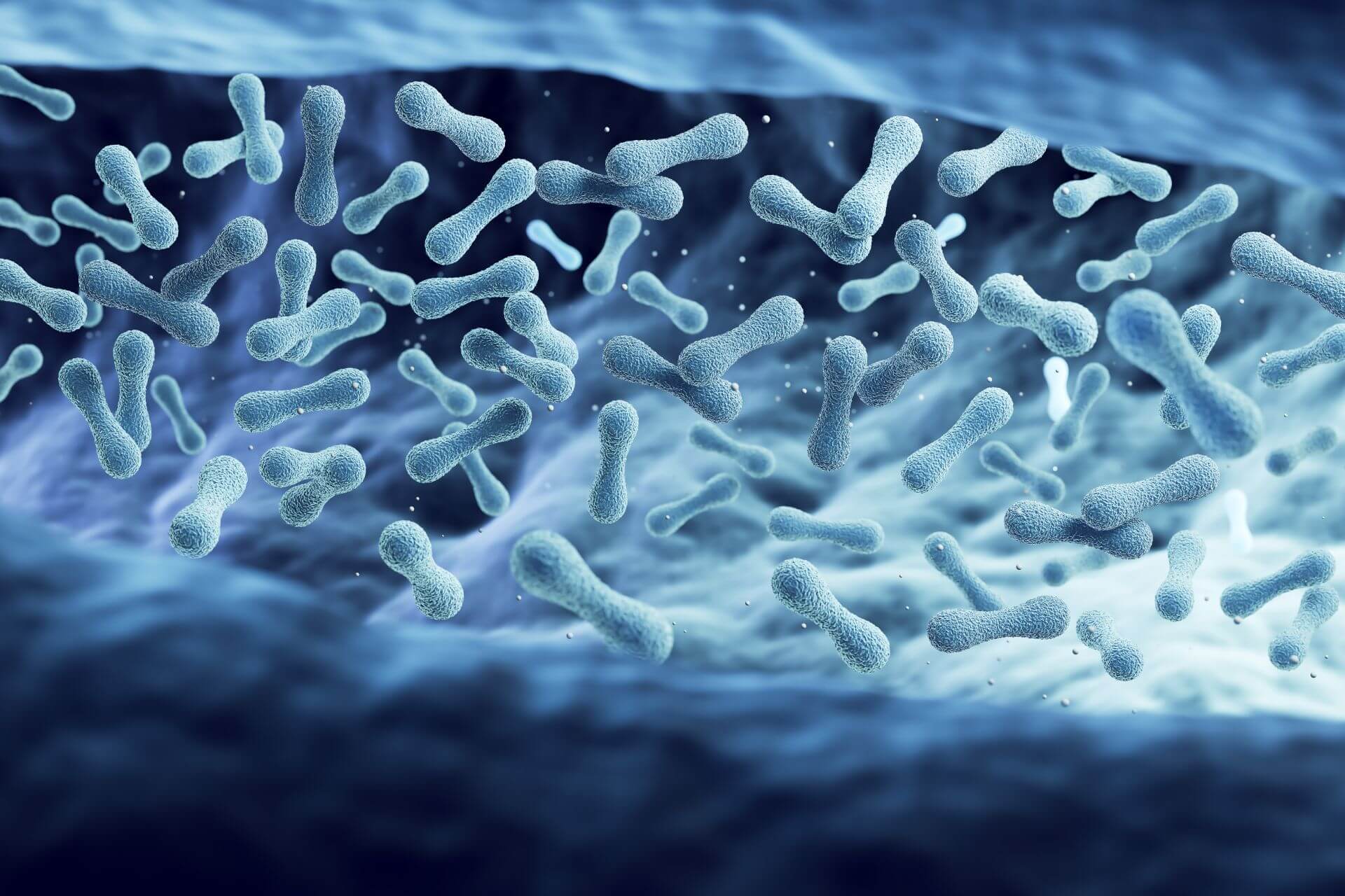 Microscopic of Probiotics Bacteria, lactobacillus bacteria 3d illustration.