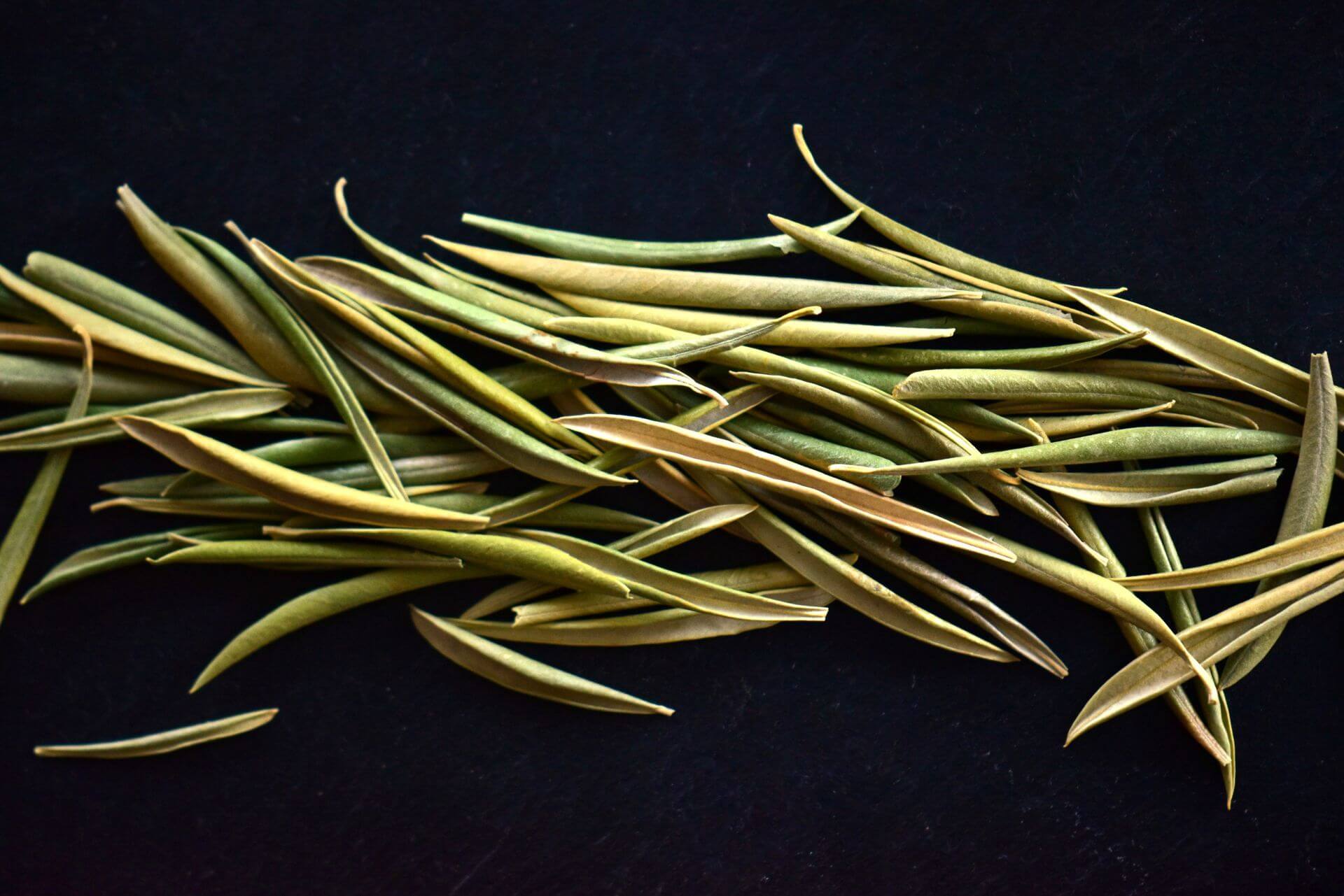 IFF_HS_Our-Products_Ingredients_Benolea-Olive-Leaf_1