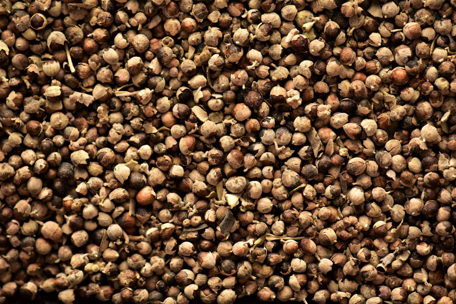 IFF_HS_Our-Products_Ingredients_Chasteberry-Vitex_1