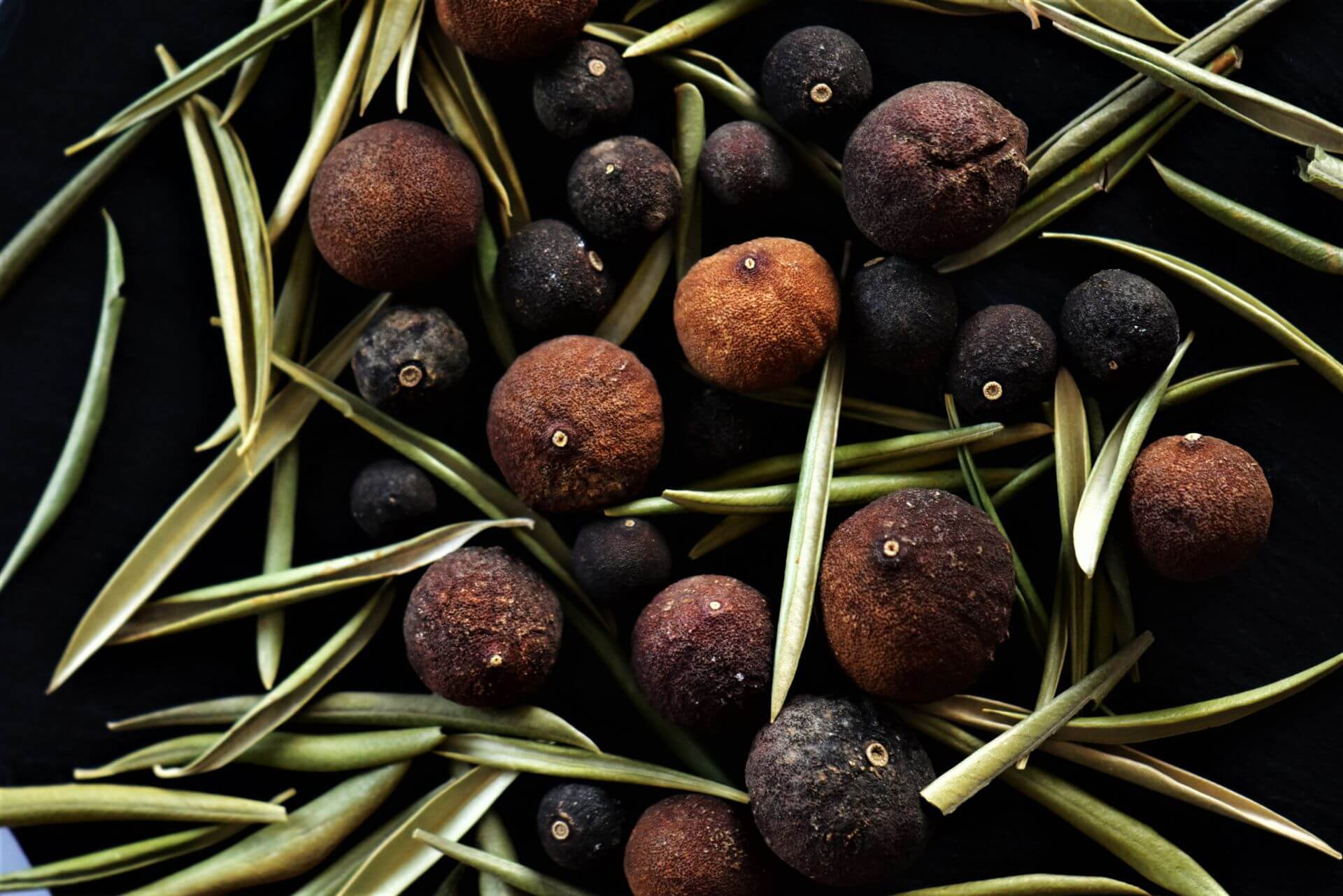 IFF_HS_Our-Products_Ingredients_Citroven_Olive-Leaf-Grapefruit